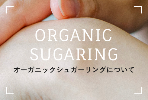 ORGANIC SUGARING オーガニックシュガーリングについて